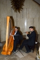 9c2039_arpa y flauta.jpg