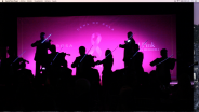 c9e419_light violines campestre.png